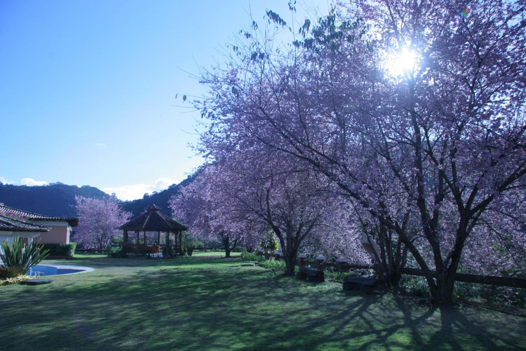 Quinta Da Paz Resort Itaipava Dış mekan fotoğraf